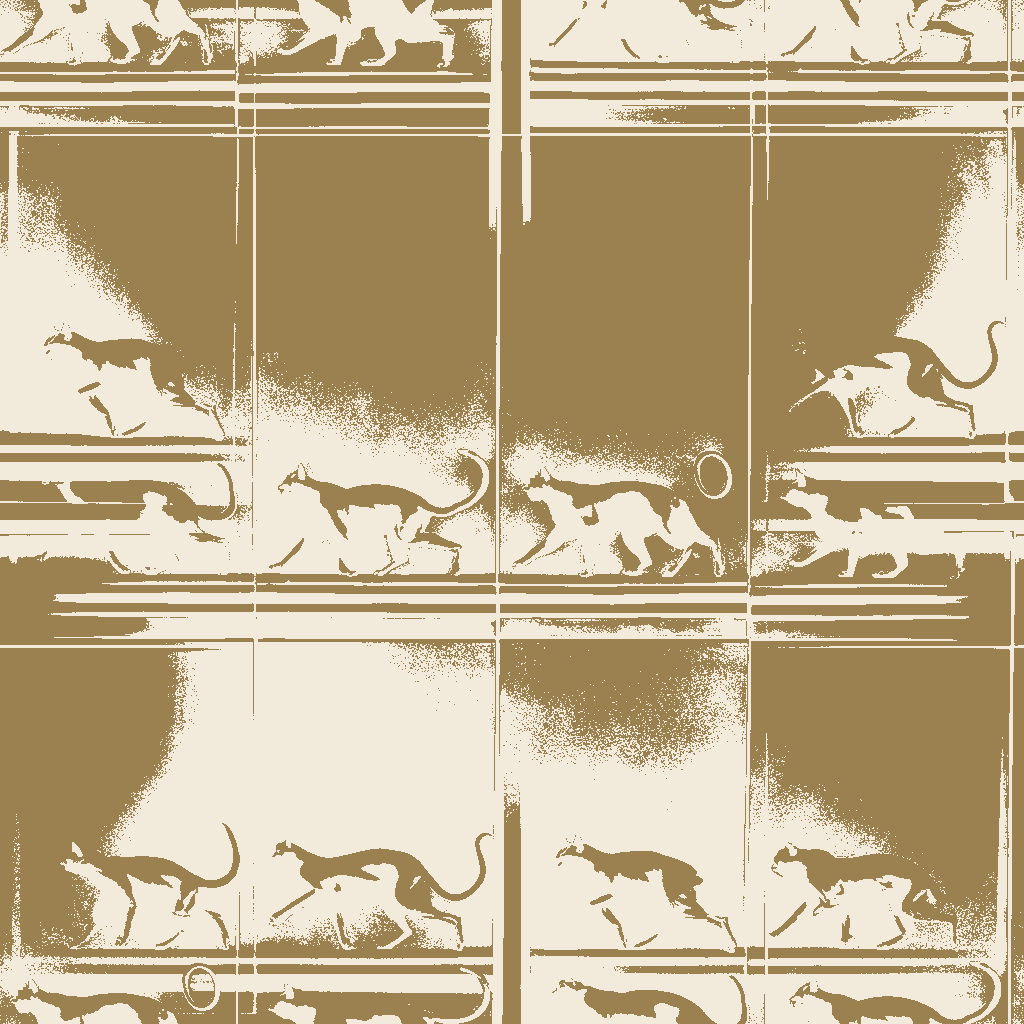 Chamois Origin No.10872