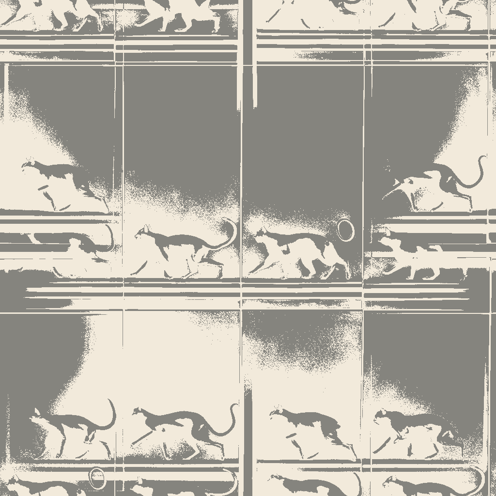 Chamois Folio No.10873